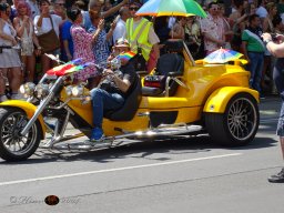 Regenbogenparade 2024